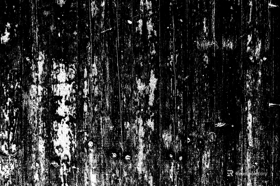 Black and white wooden panel texture