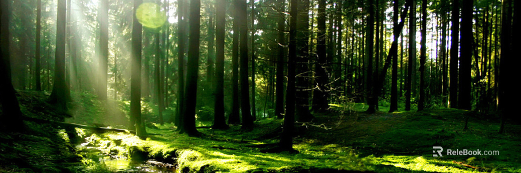 Wild Scenery texture