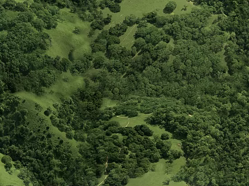 Wild Scenery texture (ID:ffajf0223)