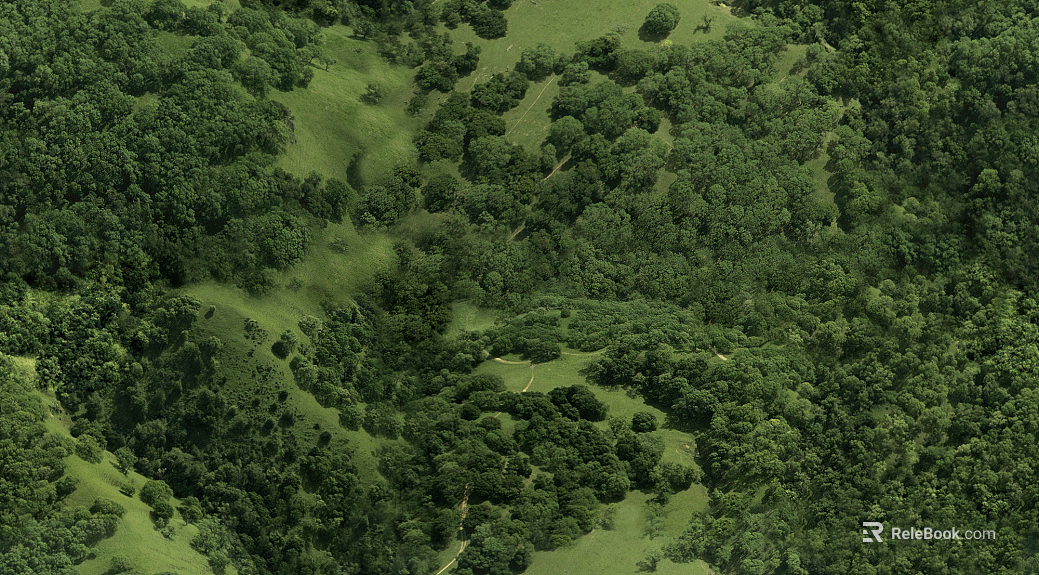 Wild Scenery texture