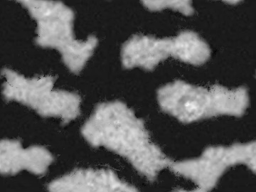 Black and White Bump texture (ID:ffacg42824)