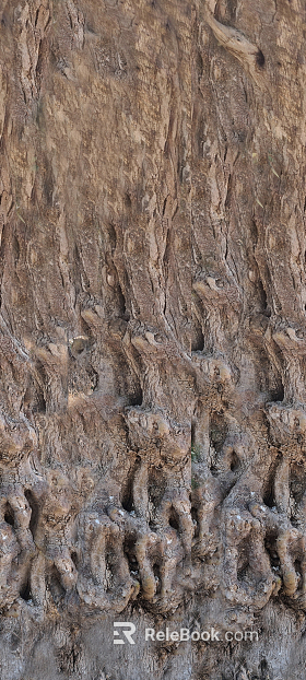 bark texture