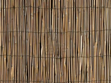 Bamboo texture (ID:ffacg13260)