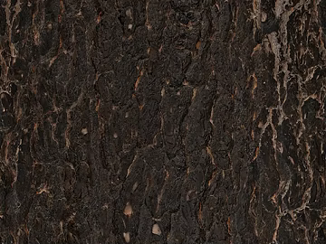 bark texture (ID:ffaag05108)