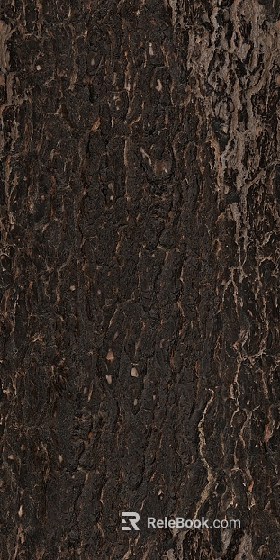 bark texture