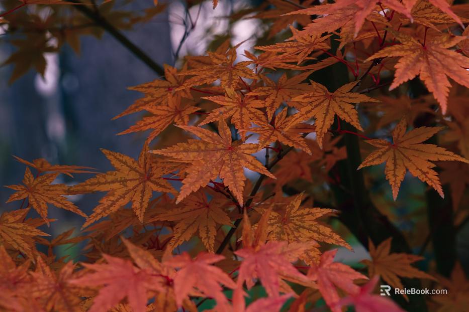 leaves texture