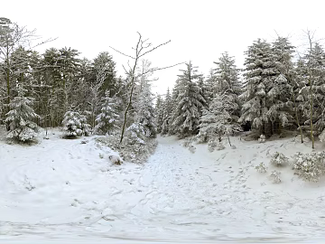 Outdoor Winter Snow Forest Daytime HDR Map texture (ID:ffhbe329)