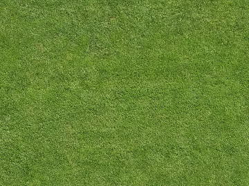 Turf 3d model
