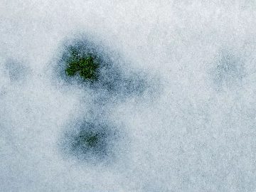 Snow texture (ID:ffaeg55253)