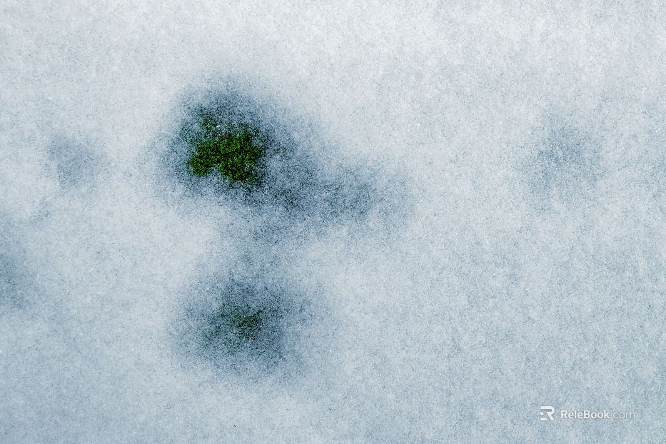 Snow texture