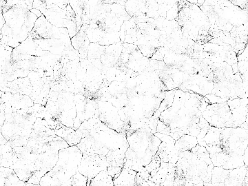 Black and White Bump texture (ID:ffabg28583)