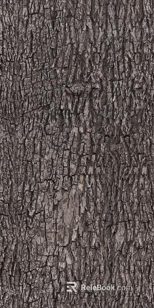 bark texture