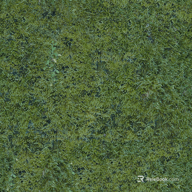 Turf texture