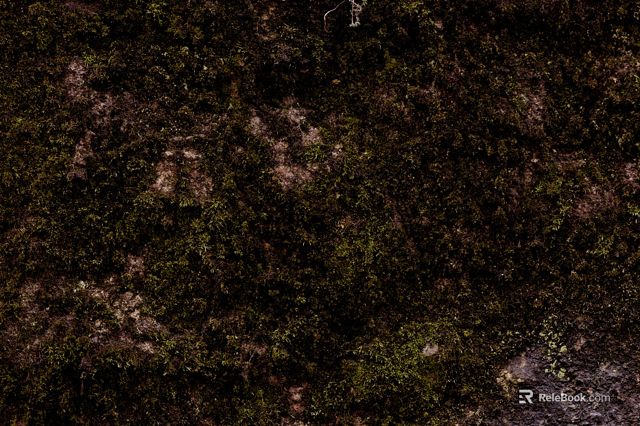 moss texture