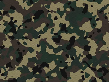 Camouflage texture (ID:ffach389306)
