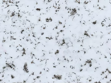 Ground-Snow texture (ID:ffaaf5348)