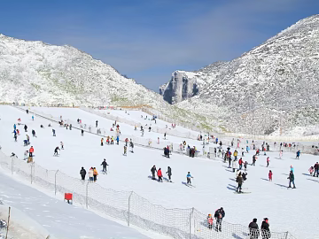 Exterior texture (ID:ffaeg63166)