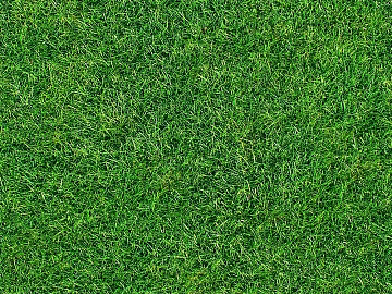 Turf texture (ID:ffaag15079)