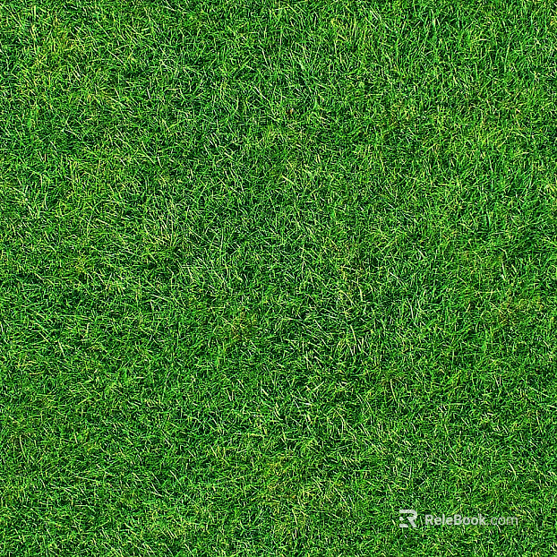 Turf texture