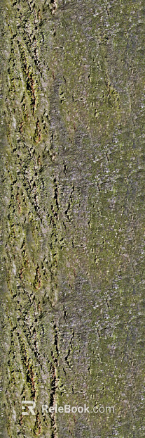 bark texture