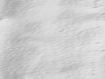 Black and White Bump 3d model