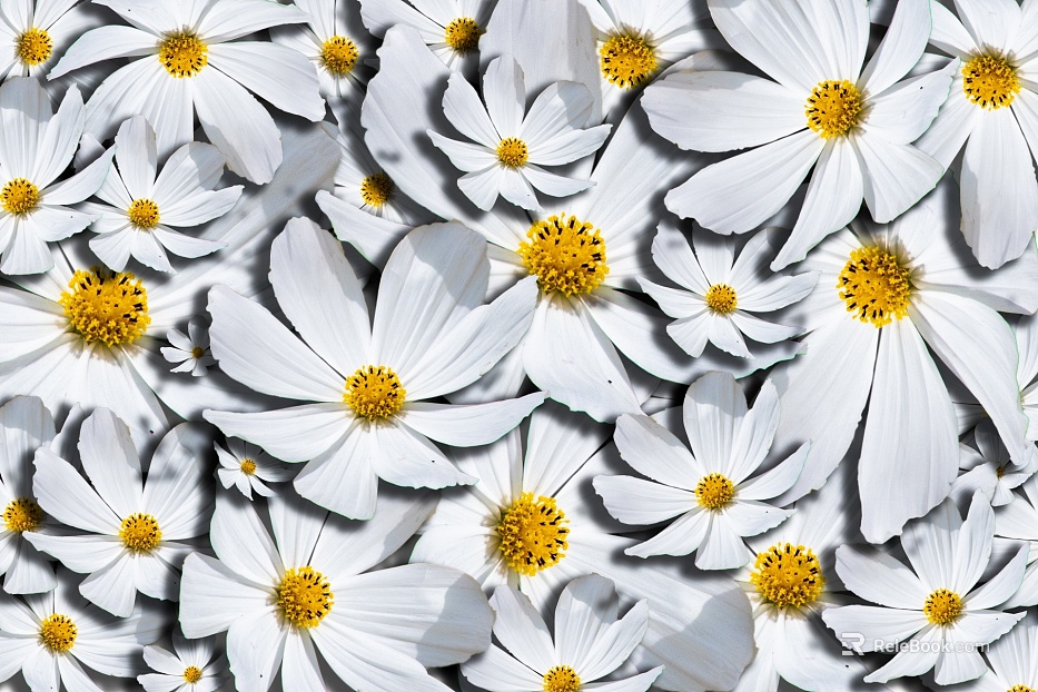 Flowers texture