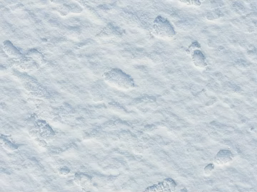 snow ice white winter cold ground 3d model