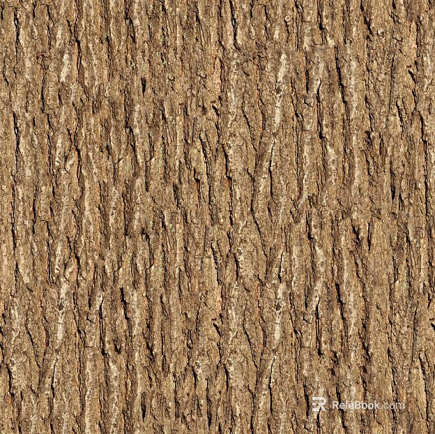 bark texture