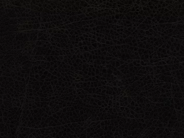 Coarse-grain leather 3d model