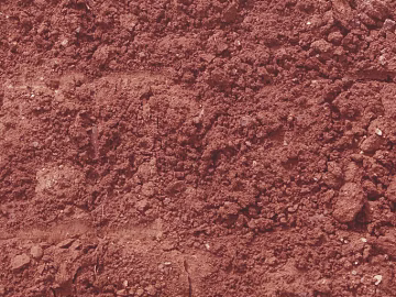Mud texture (ID:ffaeg91157)