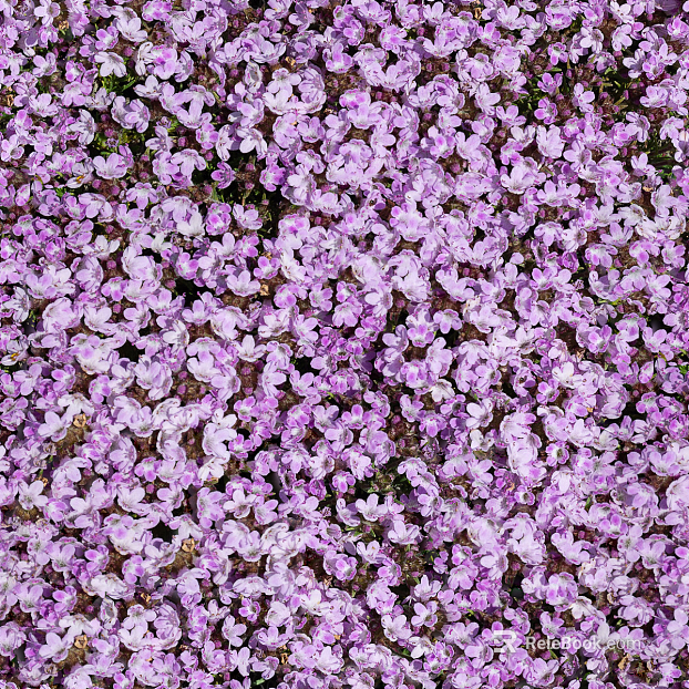 shrub flowers bushes texture