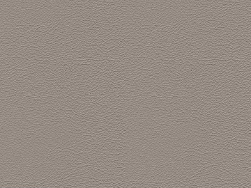 Coarse-grain leather texture (ID:ffach675706)