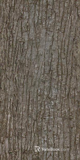 bark texture