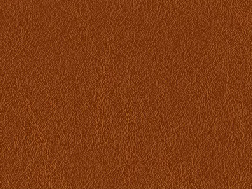 fine grain leather 3d model