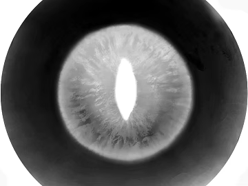 Five senses texture (ID:ffadg76624)