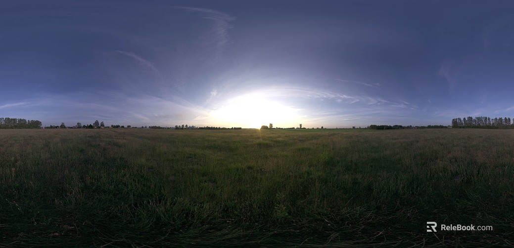 Outdoor Grass View Dusk HDR texture