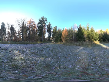 Field texture (ID:ffabg65681)
