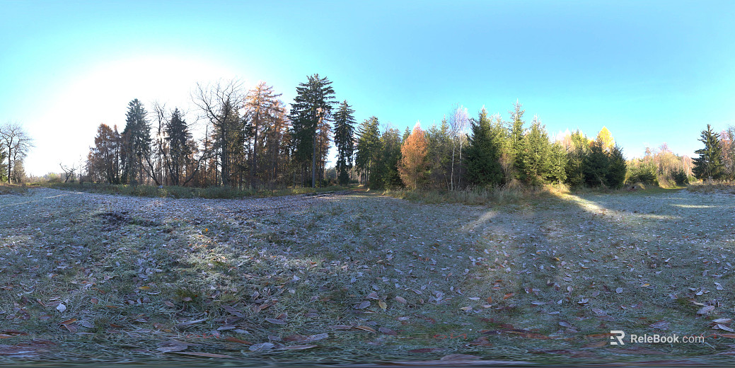Field texture