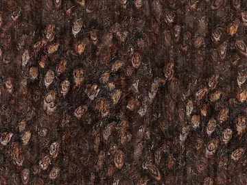 bark texture (ID:ffach792216)