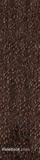 bark texture