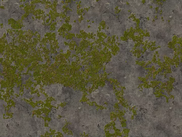 moss texture (ID:ffaig20620)