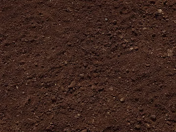 Mud texture (ID:ffagg28241)