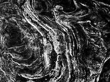 Black and White Bump texture (ID:ffach015954)