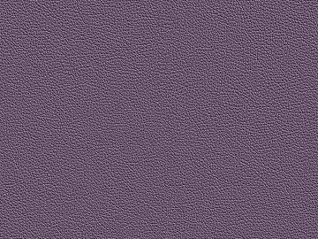 Coarse-grain leather texture (ID:ffach556705)