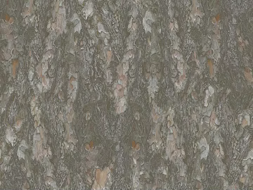 bark texture (ID:ffhie020)