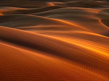 Desert texture (ID:ffach901316)
