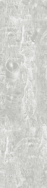Gray veined marble for walls and floors texture
