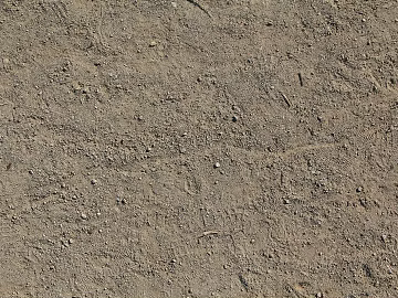 Mud texture (ID:ffach442306)