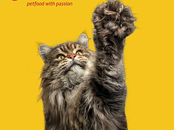 Animal painting 3d model