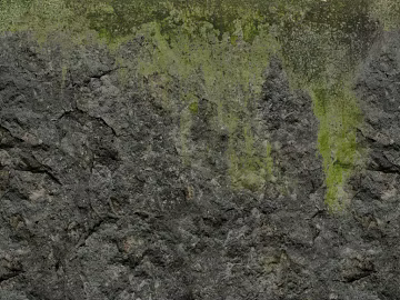 gray green rock moss outdoor ground texture (ID:ffaeh000546)
